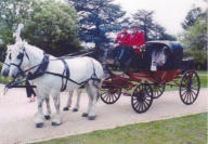 Barouche Carriage